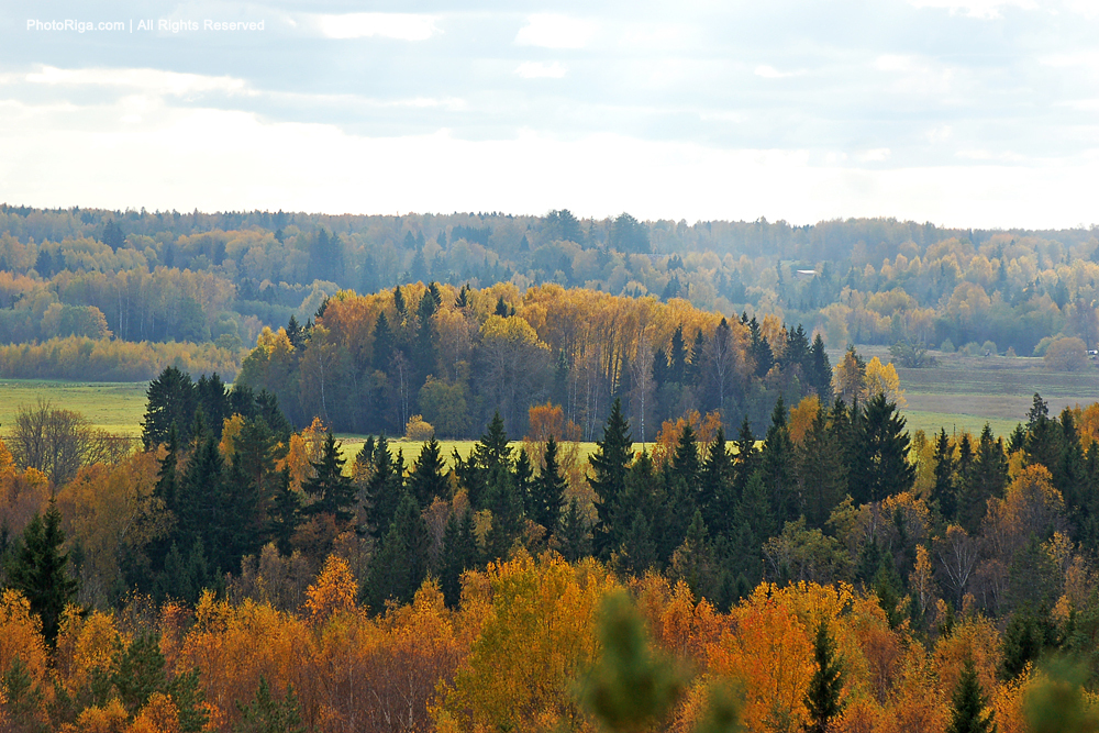 AS “Latvijas Meži” izsludina lielāko mērniecības iepirkumu kopš 2010. gada