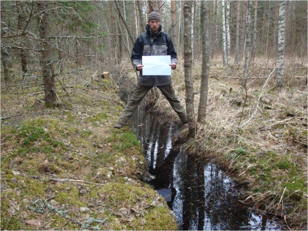 Latvijas Valsts Meži pārmet mērniekiem nepienācīgu prasību izpildi mežu zemju robežu uzmērīšanā