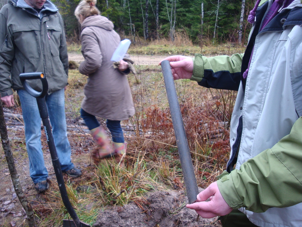 Kāpēc un kā ir uzsākta un notiek Latvijas valsts mežu zemju robežu uzmērīšanas darbu kvalitātes pārbaude